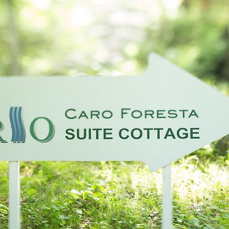 Caro Foresta Kita Karuizawa Rio Otel Tsumagoi Dış mekan fotoğraf